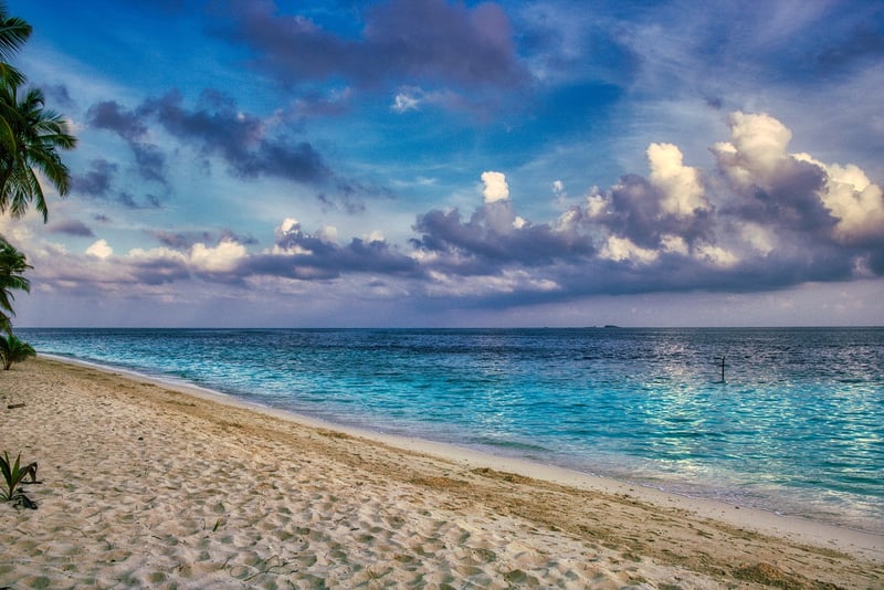 Tropical Island