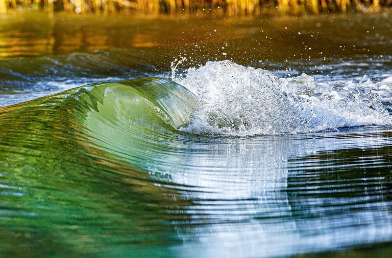 Surfer riding a wave
